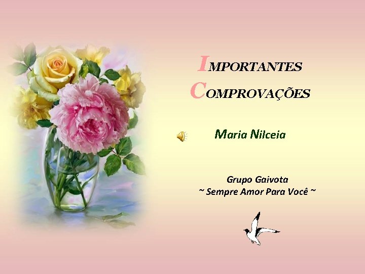 IMPORTANTES COMPROVAÇÕES Maria Nilceia Grupo Gaivota ~ Sempre Amor Para Você ~ 