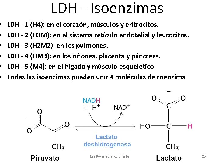  • • • LDH - Isoenzimas LDH - 1 (H 4): en el