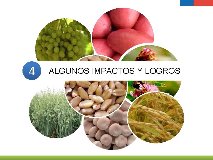 4 ALGUNOS IMPACTOS Y LOGROS 