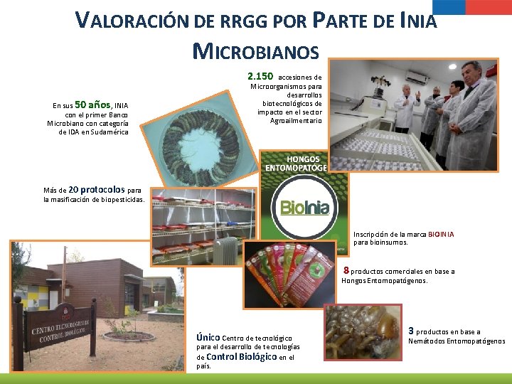 VALORACIÓN DE RRGG POR PARTE DE INIA MICROBIANOS 2. 150 En sus 50 años,
