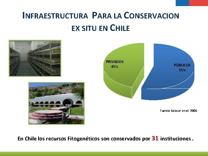 INFRAESTRUCTURA PARA LA CONSERVACION EX SITU EN CHILE PRIVADOS 45% PÚBLICOS 55% Fuente Salazar