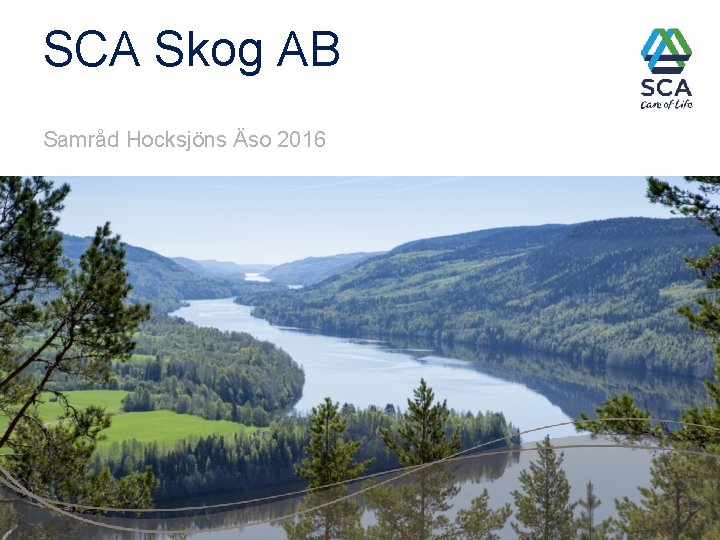 SCA Skog AB Samråd Hocksjöns Äso 2016 