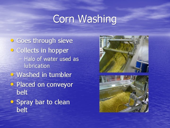 Corn Washing • Goes through sieve • Collects in hopper – Halo of water Corn Washing • Goes through sieve • Collects in hopper – Halo of water