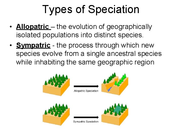 Types of Speciation • Allopatric – the evolution of geographically isolated populations into distinct