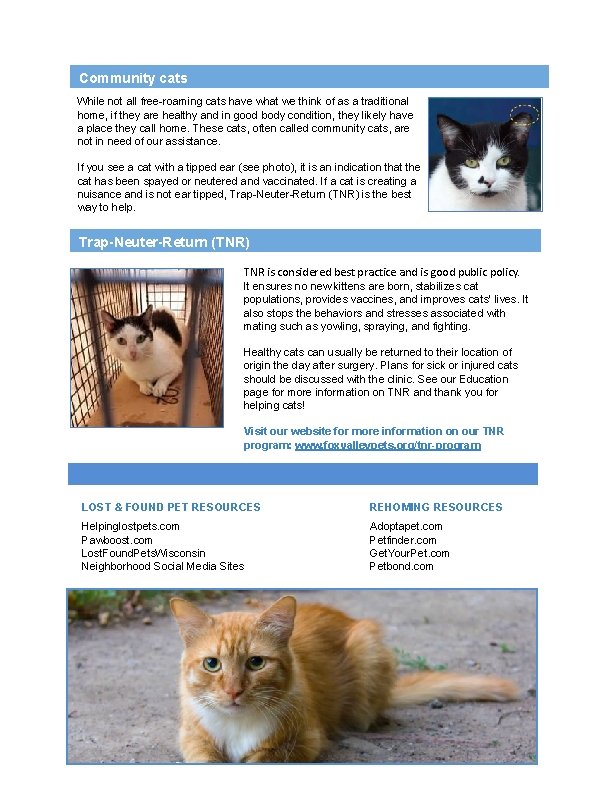 Community cats While not all free-roaming cats have what we think of as a