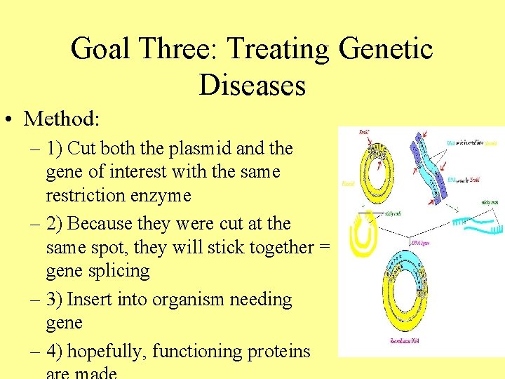 Goal Three: Treating Genetic Diseases • Method: – 1) Cut both the plasmid and Goal Three: Treating Genetic Diseases • Method: – 1) Cut both the plasmid and