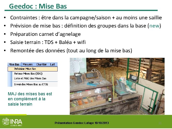 Geedoc : Mise Bas • • • Contraintes : être dans la campagne/saison +