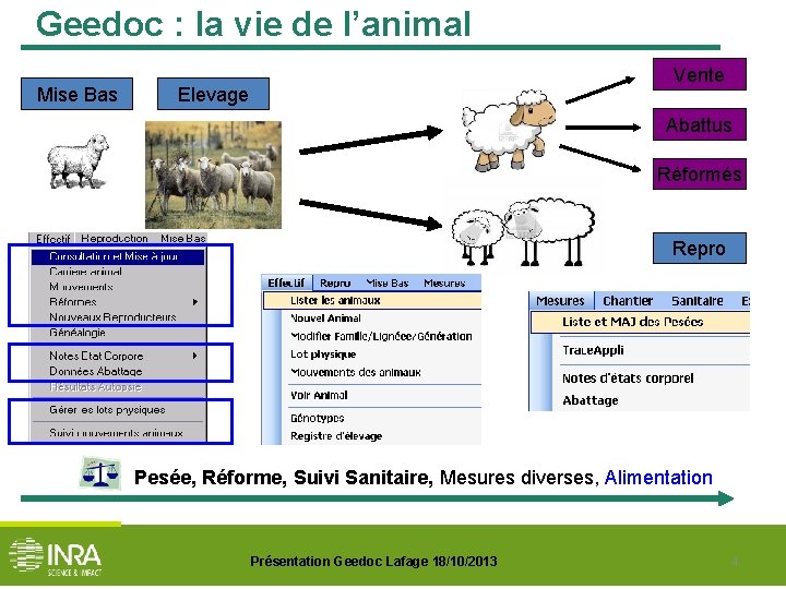 Geedoc : la vie de l’animal Mise Bas Vente Elevage Abattus Réformés Repro Pesée,
