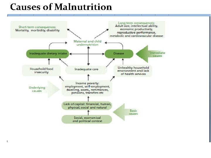 Causes of Malnutrition 