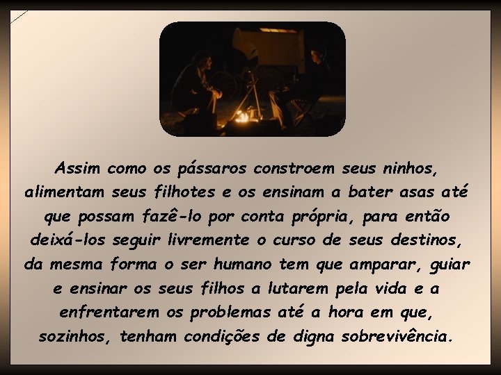 Assim como os pássaros constroem seus ninhos, alimentam seus filhotes e os ensinam a