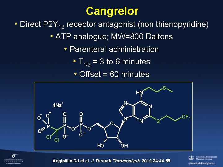 Should Cangrelor be Used in Most STEMI Patients