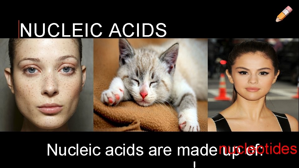 NUCLEIC ACIDS Nucleic acids are made nucleotides up of: 