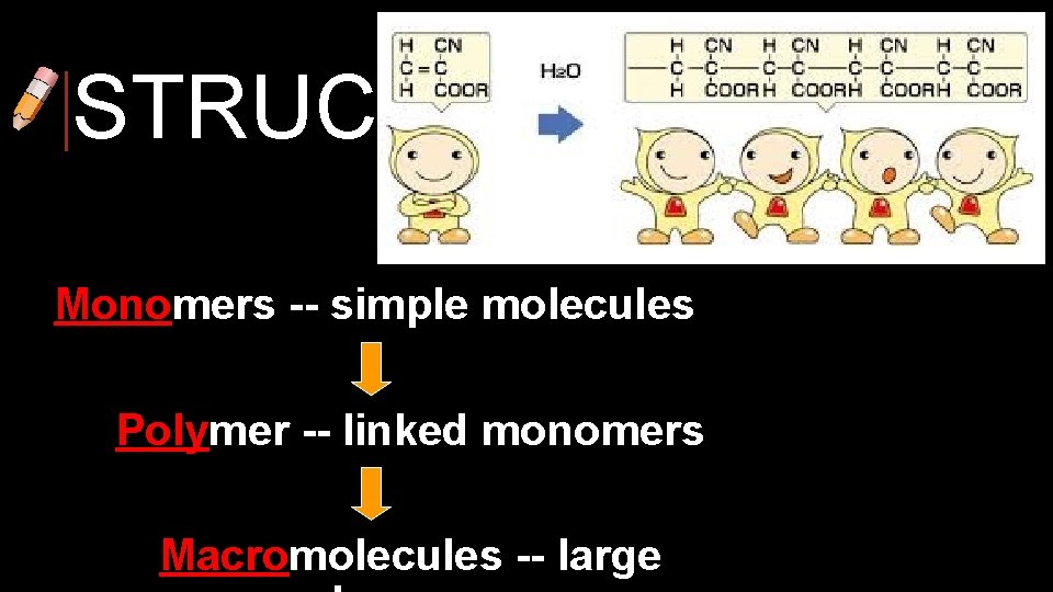 STRUCTURE Monomers -- simple molecules Polymer -- linked monomers Macromolecules -- large 