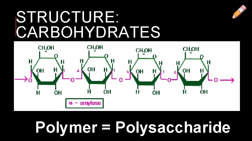 STRUCTURE: CARBOHYDRATES Polymer = Polysaccharide 