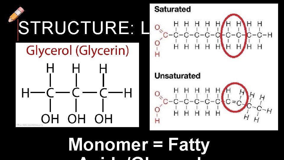 STRUCTURE: LIPIDS Monomer = Fatty 