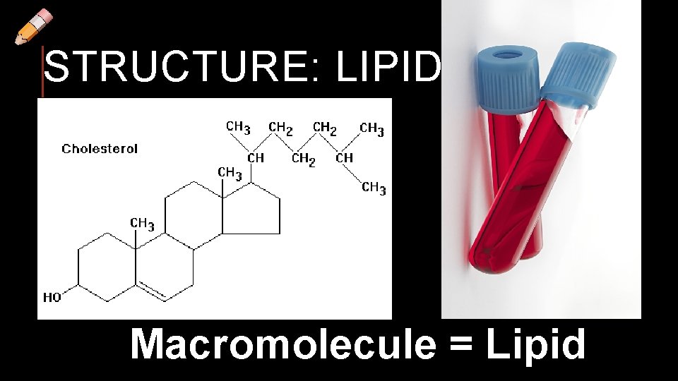 STRUCTURE: LIPIDS Macromolecule = Lipid 
