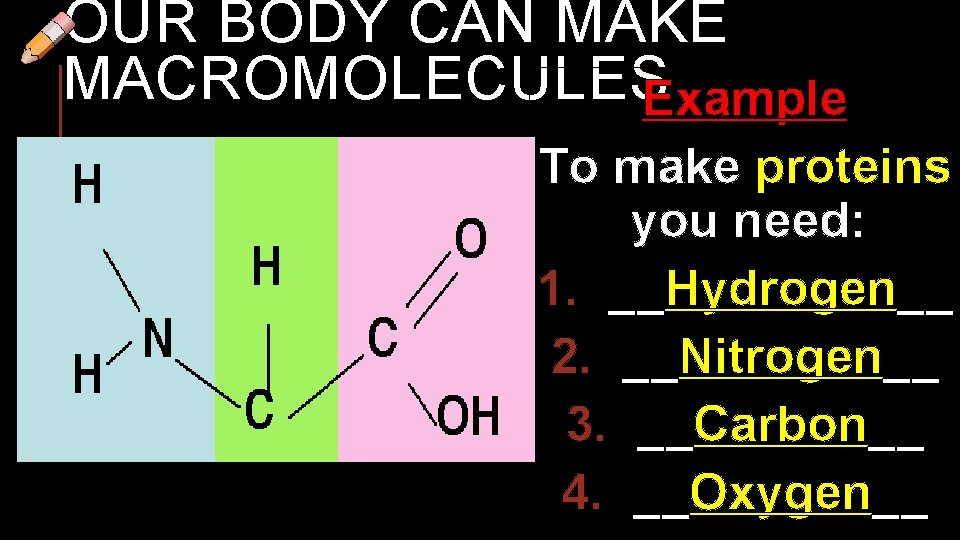 OUR BODY CAN MAKE MACROMOLECULESExample To make proteins you need: 1. __Hydrogen__ 2. __Nitrogen__