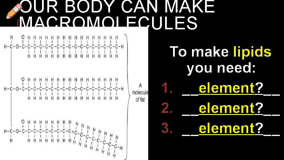 OUR BODY CAN MAKE MACROMOLECULES To make lipids you need: 1. __element? __ 2.