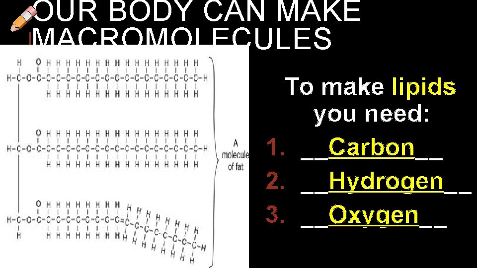OUR BODY CAN MAKE MACROMOLECULES To make lipids you need: 1. __Carbon__ 2. __Hydrogen__