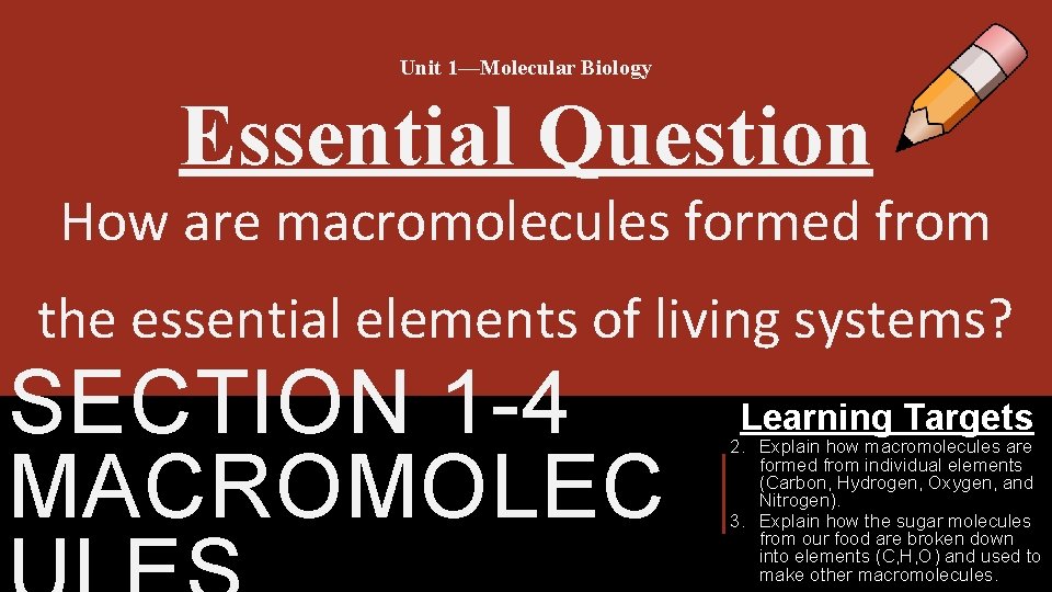 Unit 1—Molecular Biology Essential Question How are macromolecules formed from the essential elements of