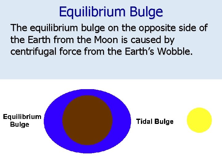 Equilibrium Bulge The equilibrium bulge on the opposite side of the Earth from the