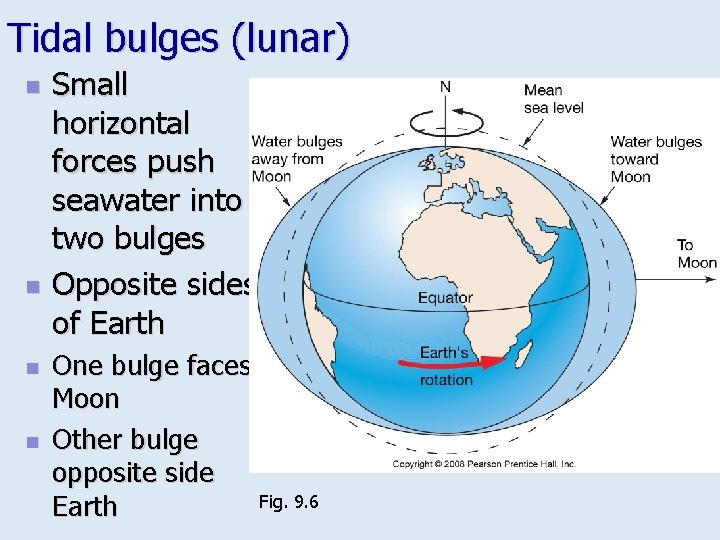 Tidal bulges (lunar) n n Small horizontal forces push seawater into two bulges Opposite