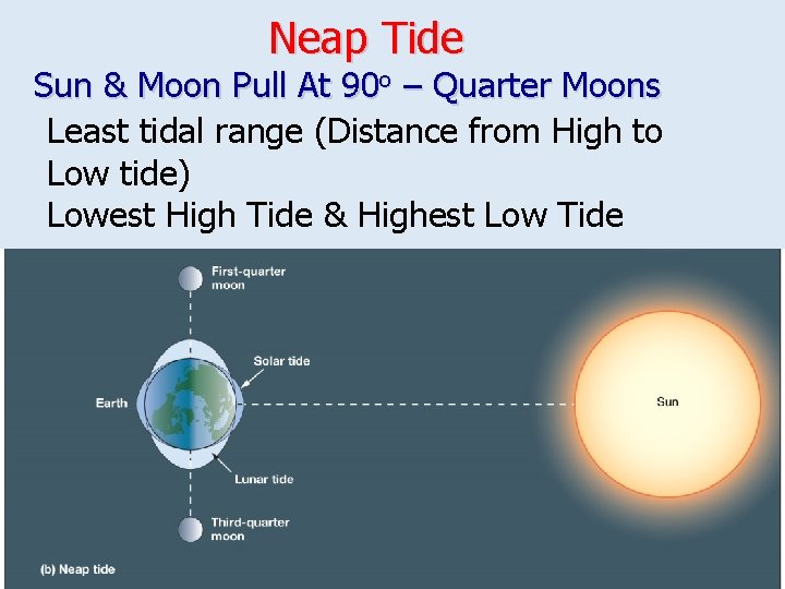 Neap Tide Sun & Moon Pull At 90 o – Quarter Moons Least tidal