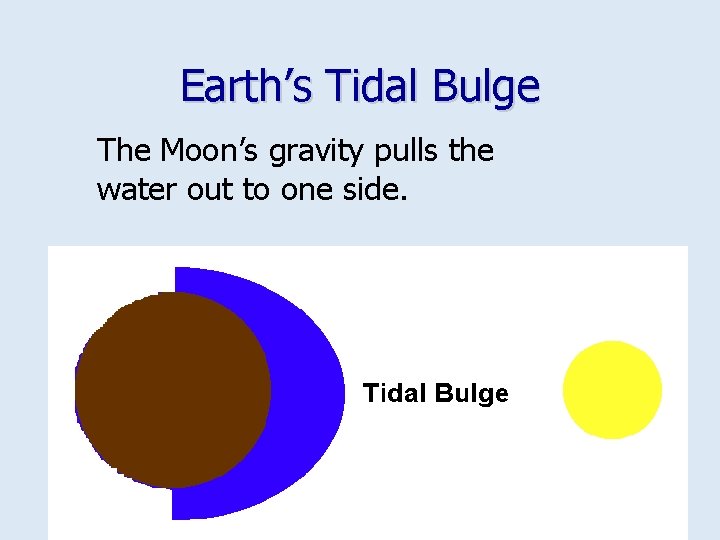Earth’s Tidal Bulge The Moon’s gravity pulls the water out to one side. 