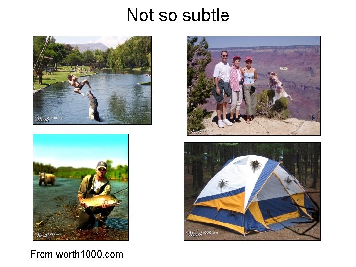 Not so subtle From worth 1000. com 