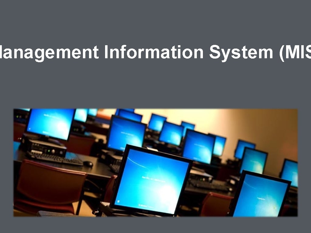 Management Information System (MIS 