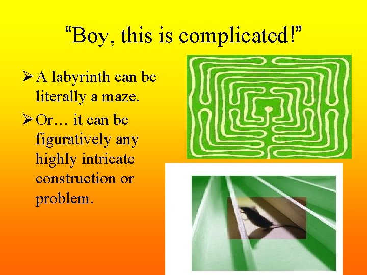 “Boy, this is complicated!” Ø A labyrinth can be literally a maze. Ø Or…