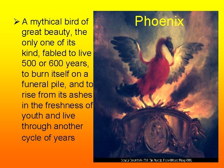 Ø A mythical bird of great beauty, the only one of its kind, fabled