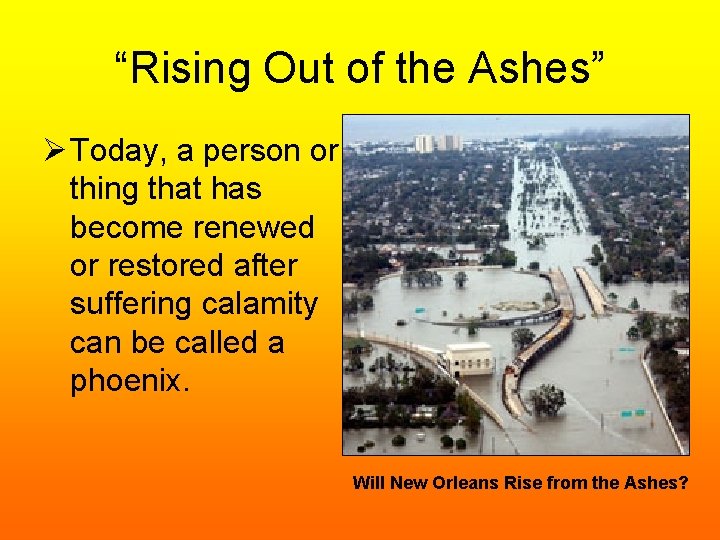 “Rising Out of the Ashes” Ø Today, a person or thing that has become
