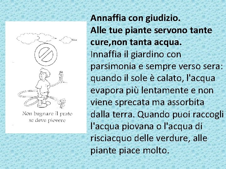 Annaffia con giudizio. Alle tue piante servono tante cure, non tanta acqua. Innaffia il