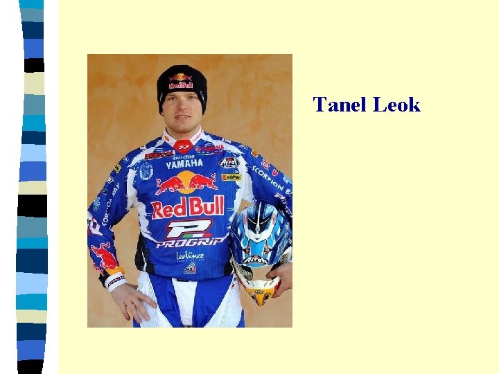 Tanel Leok 