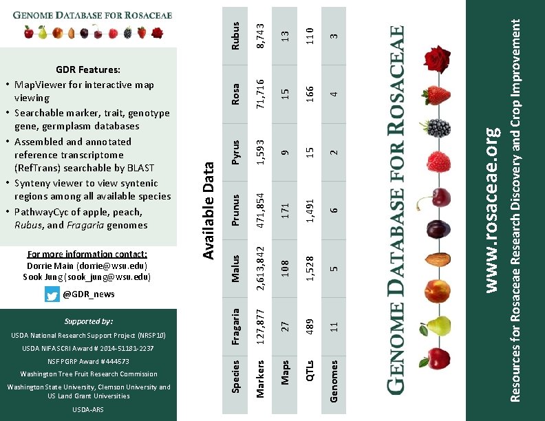 USDA-ARS www. rosaceae. org Resources for Rosaceae Research Discovery and Crop Improvement 3 4