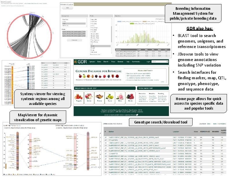 Breeding Information Management System for public/private breeding data GDR also has: • BLAST tool