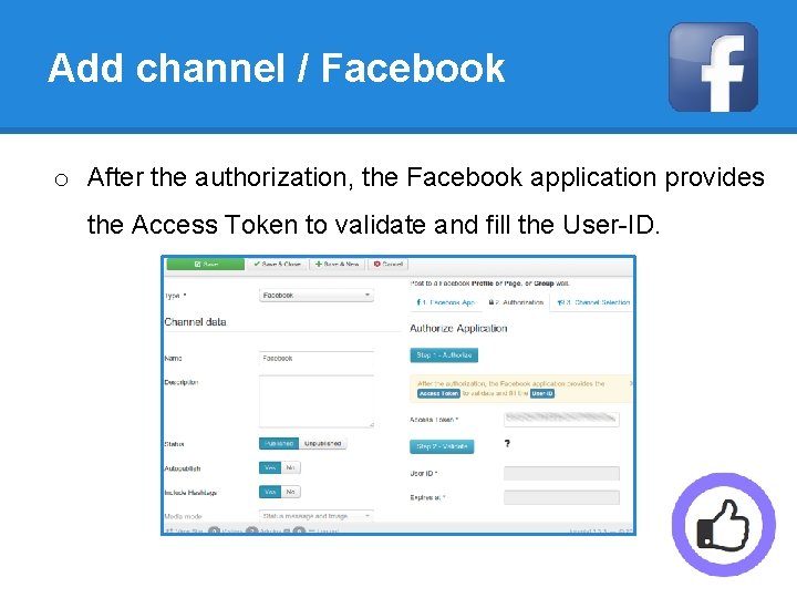 Add channel / Facebook o After the authorization, the Facebook application provides the Access