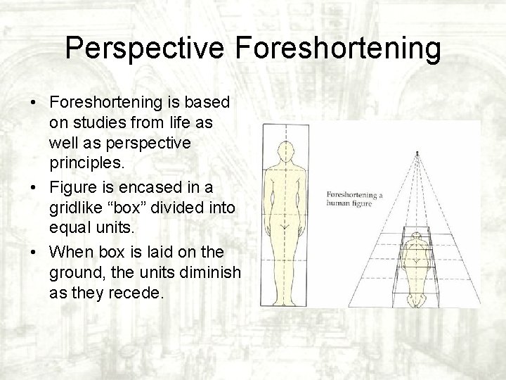 Perspective Foreshortening • Foreshortening is based on studies from life as well as perspective Perspective Foreshortening • Foreshortening is based on studies from life as well as perspective