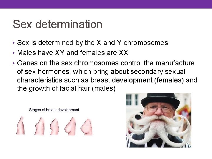 Sex determination • Sex is determined by the X and Y chromosomes • Males Sex determination • Sex is determined by the X and Y chromosomes • Males