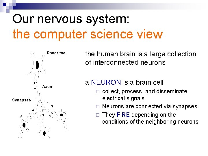 Our nervous system: the computer science view the human brain is a large collection