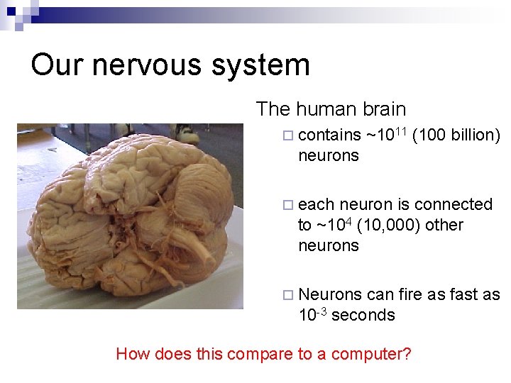 Our nervous system The human brain ¨ contains ~1011 (100 billion) neurons ¨ each