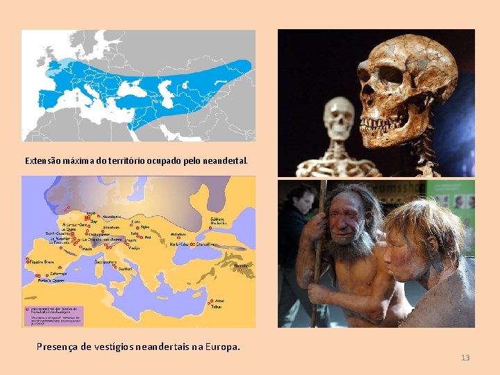 Extensão máxima do território ocupado pelo neandertal. Presença de vestígios neandertais na Europa. 13