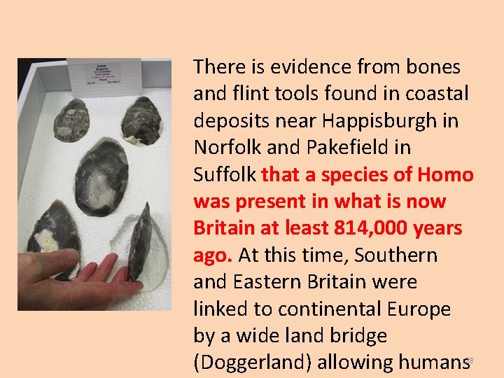 There is evidence from bones and flint tools found in coastal deposits near Happisburgh