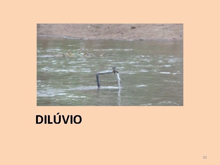 DILÚVIO 52 