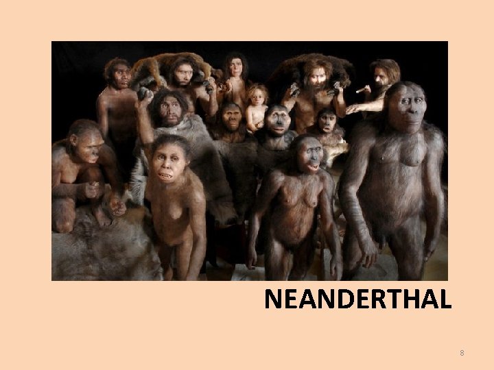 NEANDERTHAL 8 