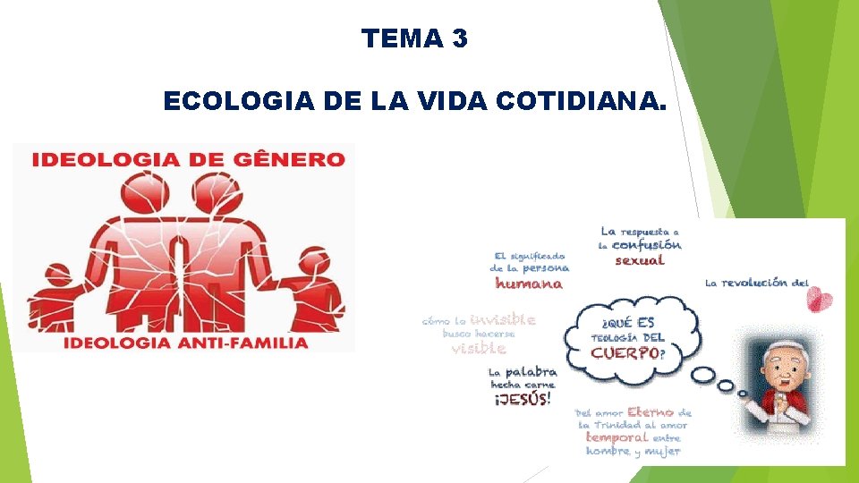 TEMA 3 ECOLOGIA DE LA VIDA COTIDIANA. 