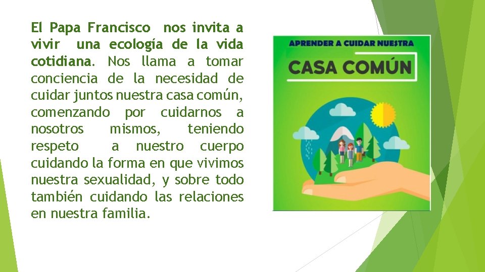 El Papa Francisco nos invita a vivir una ecología de la vida cotidiana. Nos