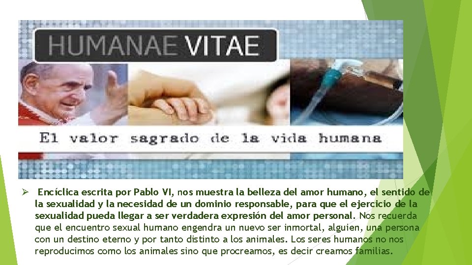 Ø Encíclica escrita por Pablo VI, nos muestra la belleza del amor humano, el