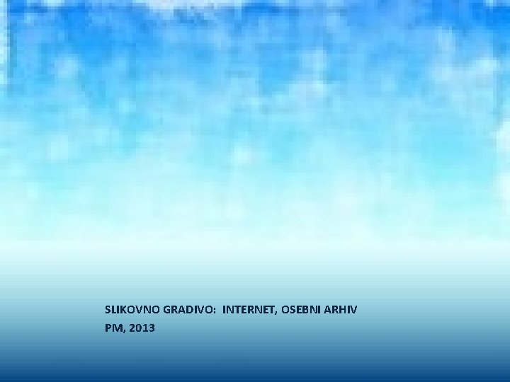 SLIKOVNO GRADIVO: INTERNET, OSEBNI ARHIV PM, 2013 